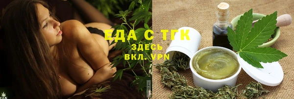 индика Новодвинск
