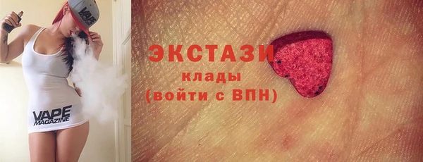 гидра Надым