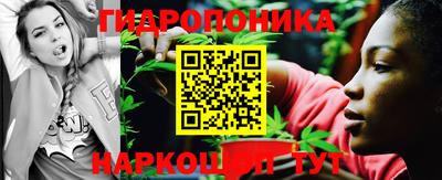 сатива Аргун