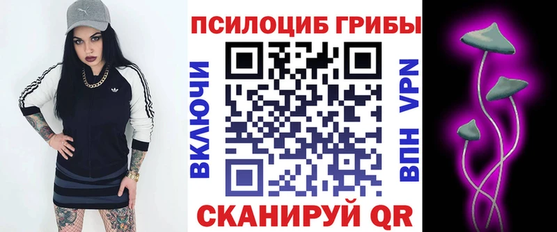 Галлюциногенные грибы Psilocybe  Нефтекумск 