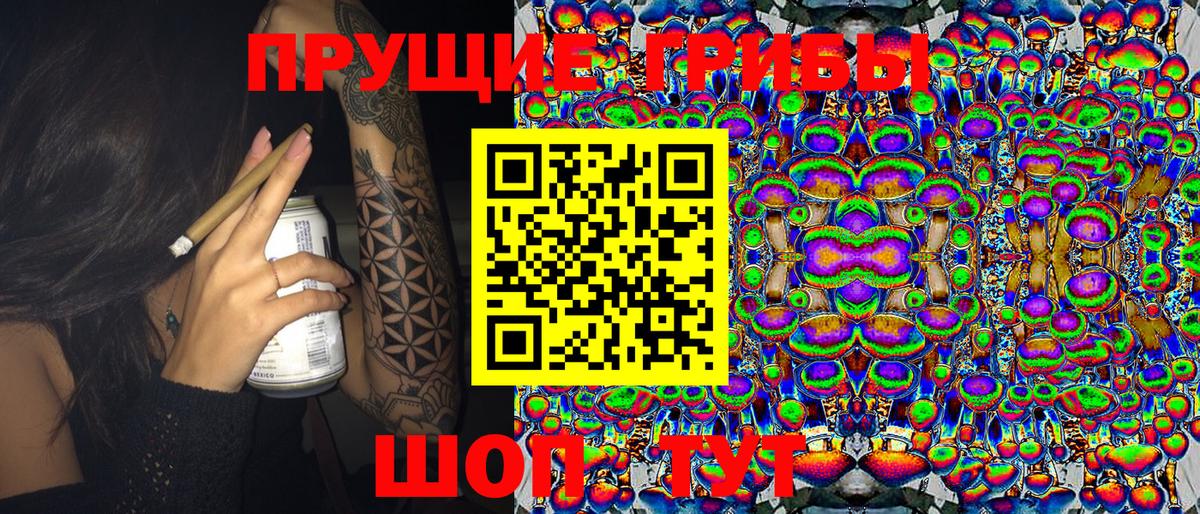 даркнет сайт  Нефтекумск  Псилоцибиновые грибы Psilocybine cubensis  Псилоцибиновые грибы мухоморы 