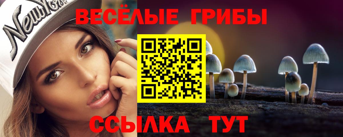 Псилоцибиновые грибы мухоморы Нефтекумск